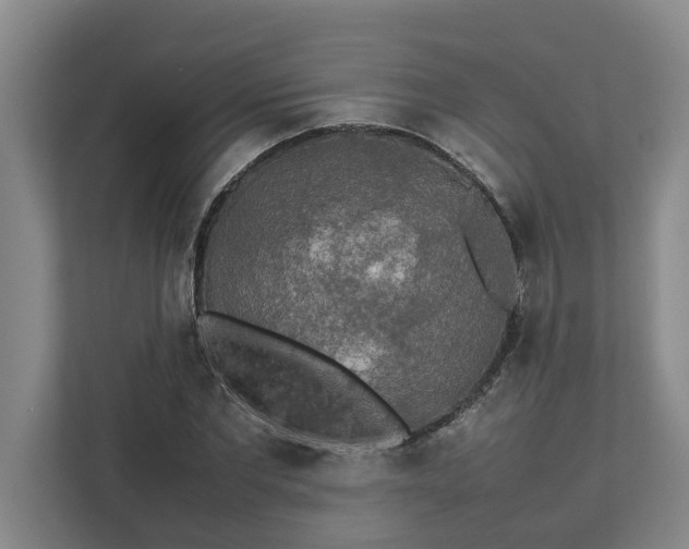 X0000112830877200909041500