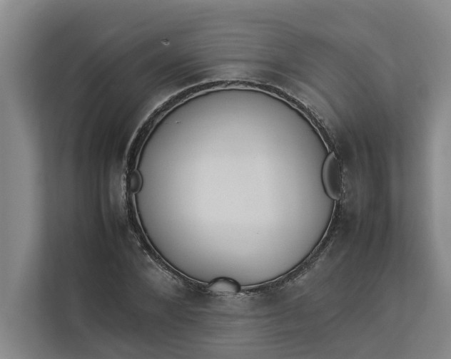 X0000112830880200909041500