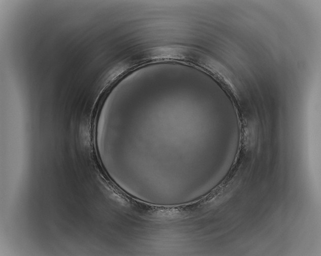 X0000112830882200909041500