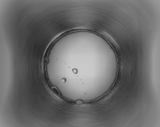 X0000112830884200909041500