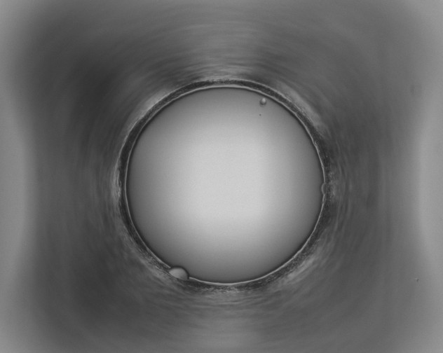 X0000112830885200909041500