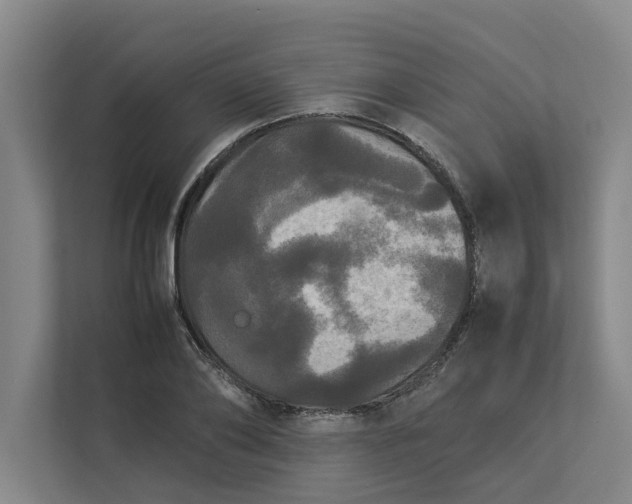 X0000112830886200909041500