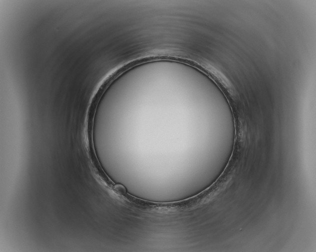 X0000112830888200909041500