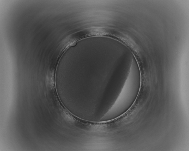 X0000112830889200909041500