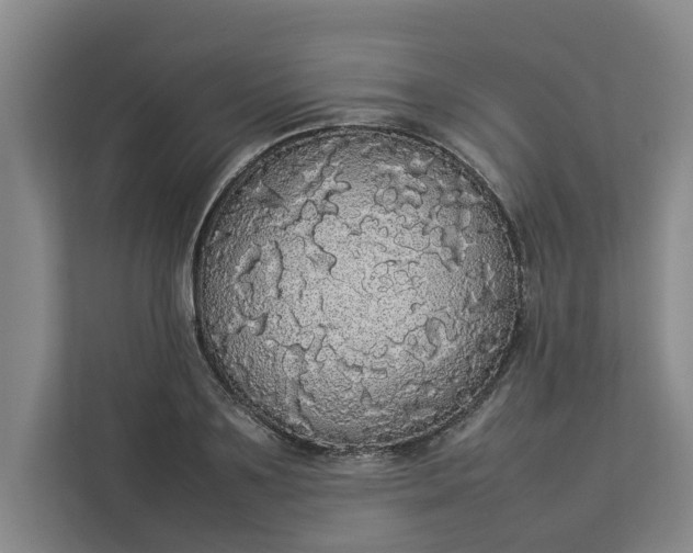 X0000112830891200909041500