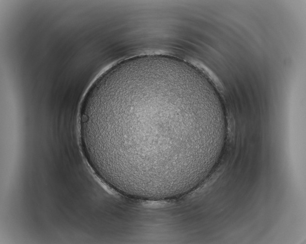 X0000112830894200909041500