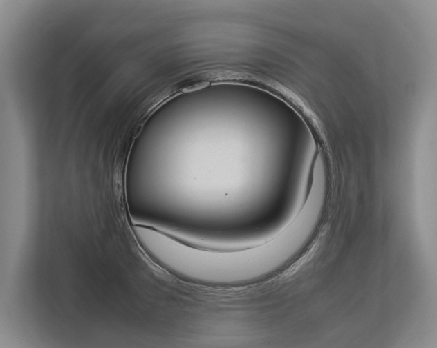 X0000112830897200909041500