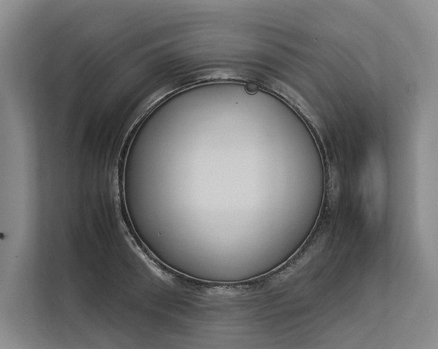 X0000112830898200909041500