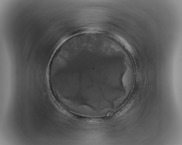 X0000112830899200909041500