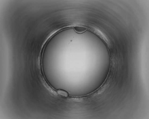 X0000112830900200909041500