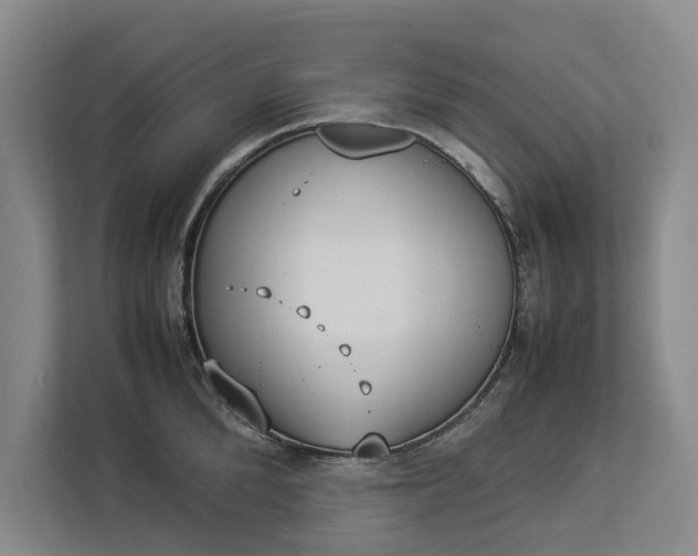 X0000112830904200909041500