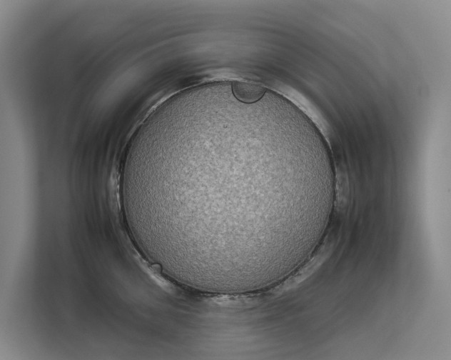 X0000112830906200909041500