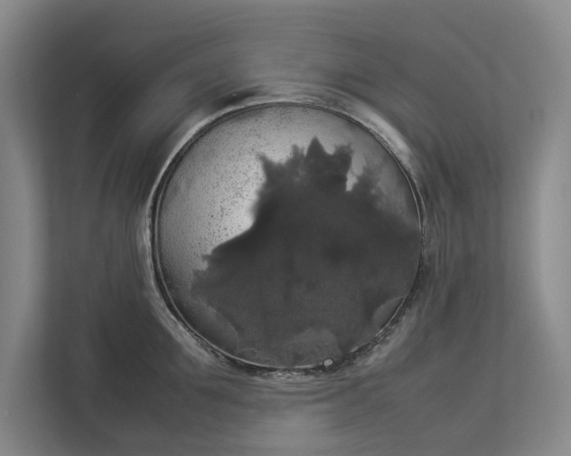 X0000112830907200909041500