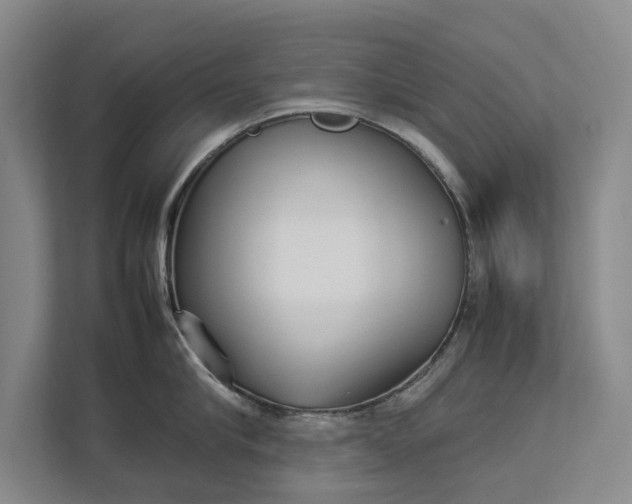 X0000112830910200909041500