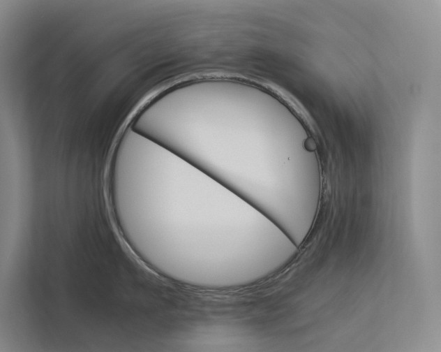 X0000112830911200909041500