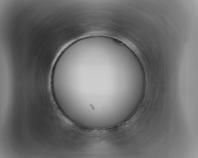 X0000112830912200909041500