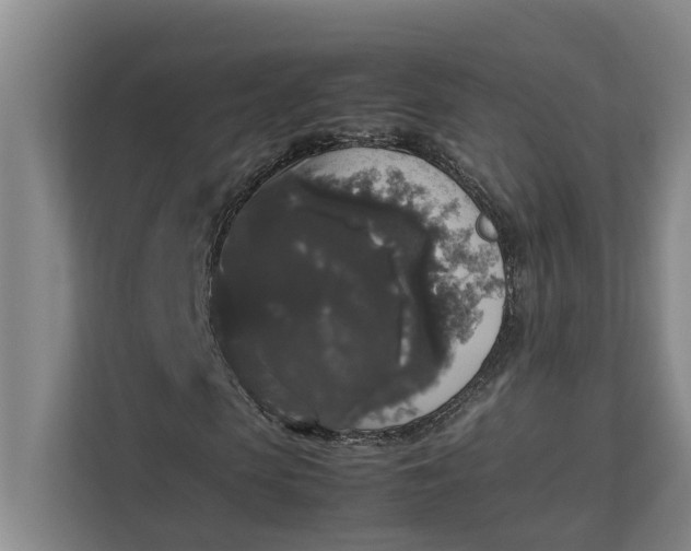 X0000112830913200909041459