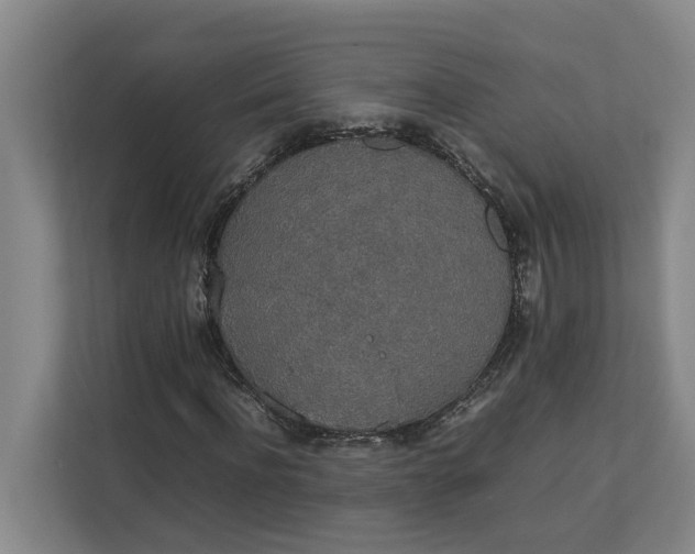 X0000112830916200909041459