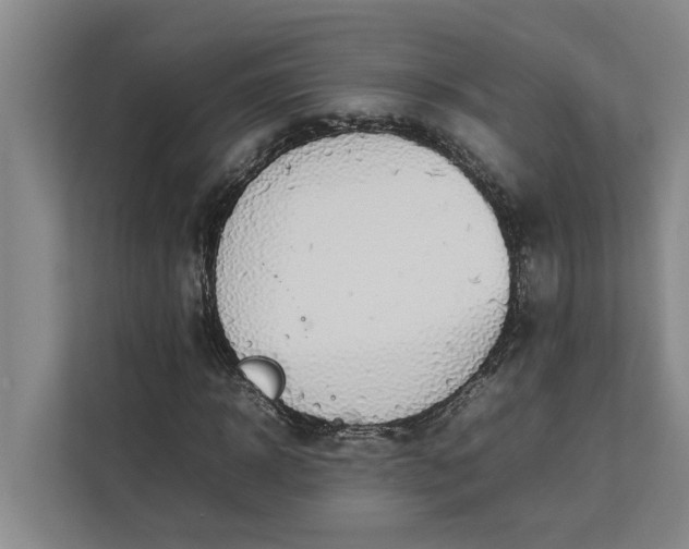 X0000112830918200909041459