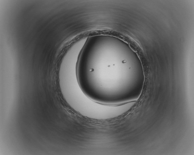 X0000112830920200909041459