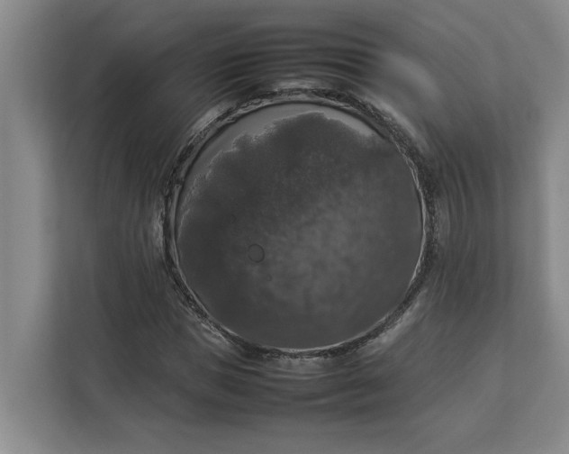 X0000112830921200909041459