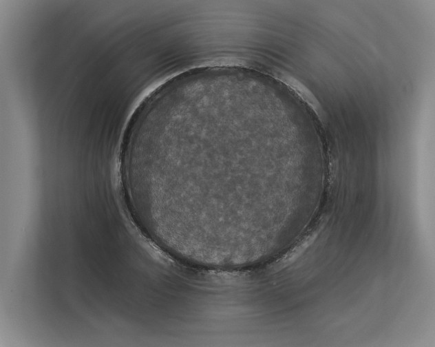 X0000112830928200909041500