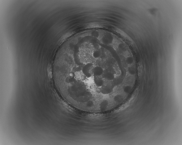 X0000112830929200909041500