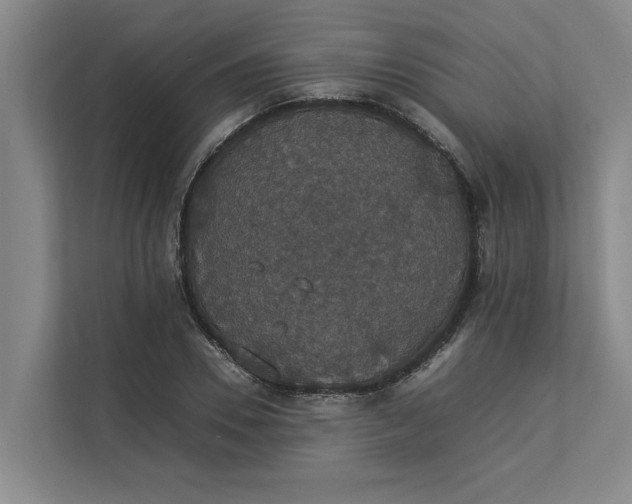 X0000112830930200909041500