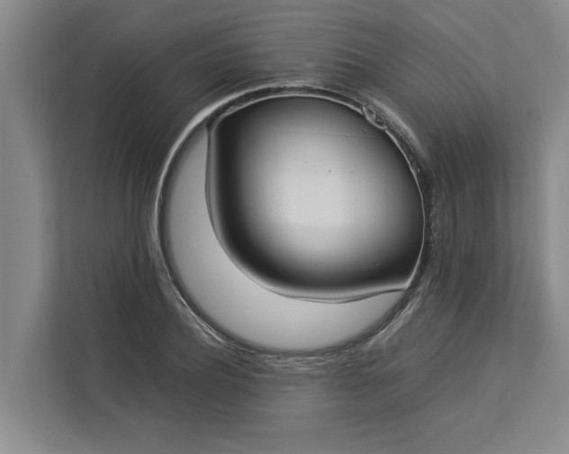 X0000112830932200909041500