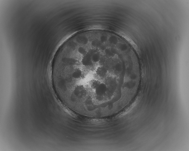 X0000112830933200909041500