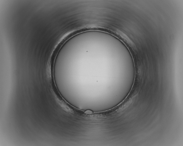 X0000112830934200909041500