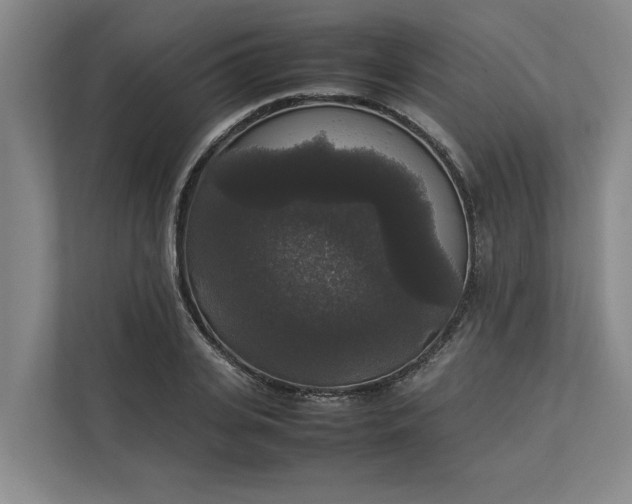 X0000112830935200909041500