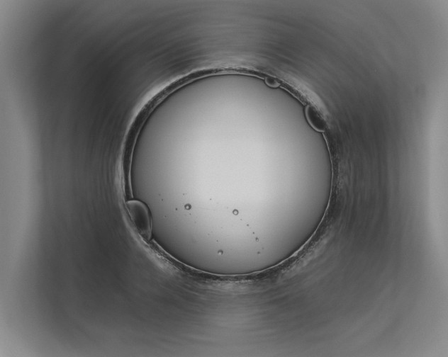 X0000112830936200909041500