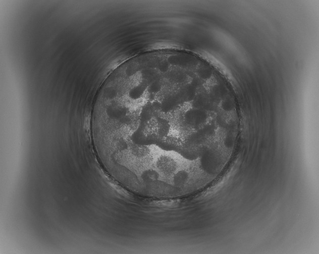 X0000112830937200909041500