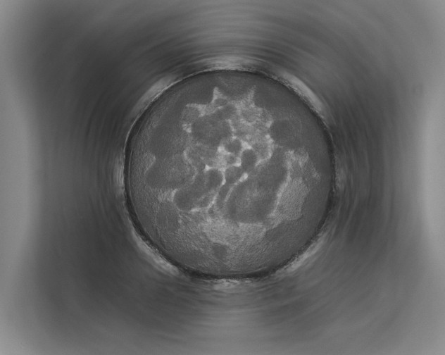 X0000112830938200909041500