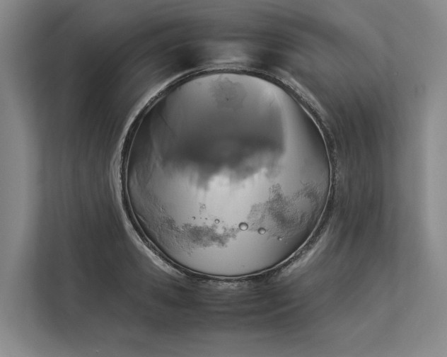 X0000112830941200909041500