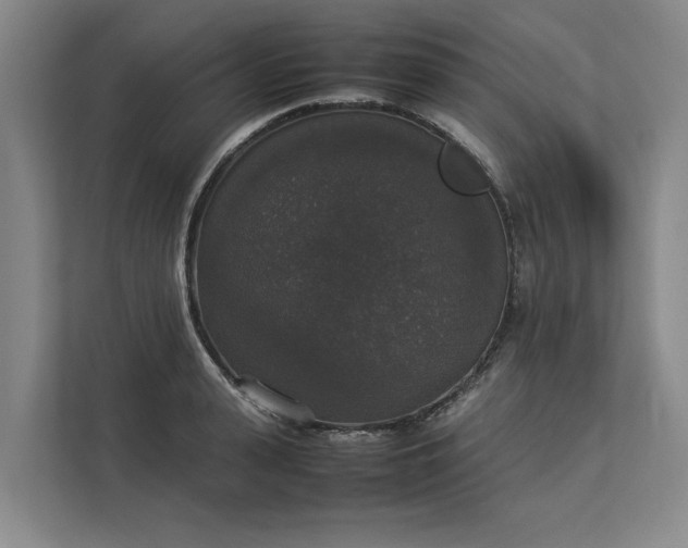 X0000112830943200909041500