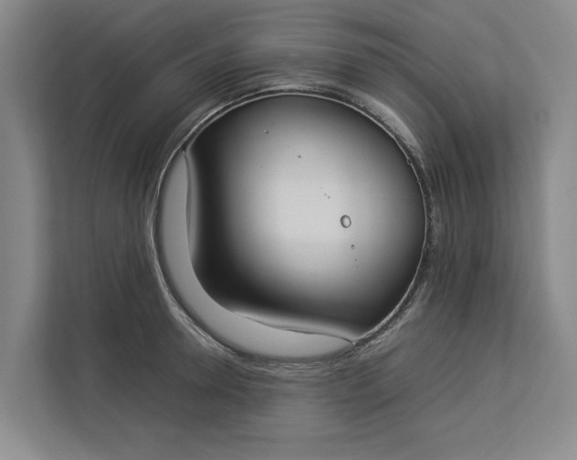 X0000112830946200909041500