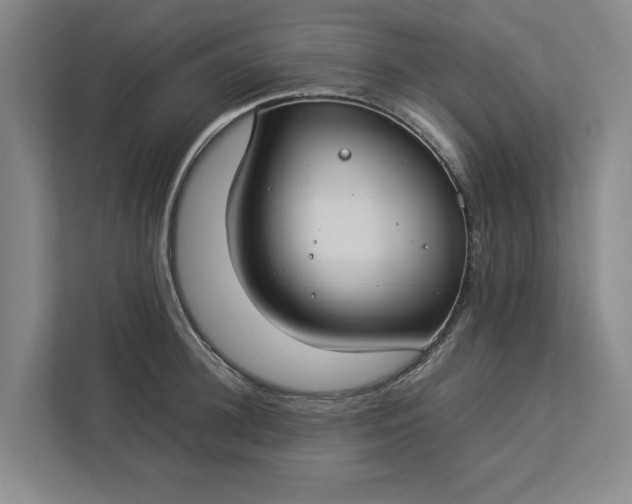 X0000112830948200909041500