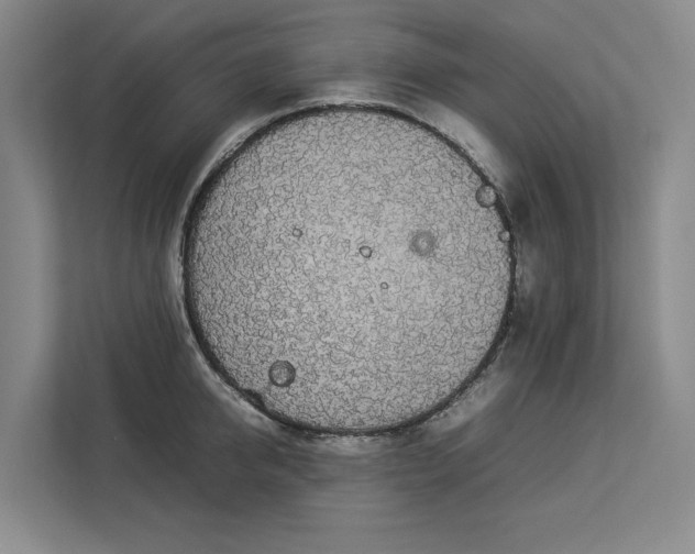 X0000112830950200909041500