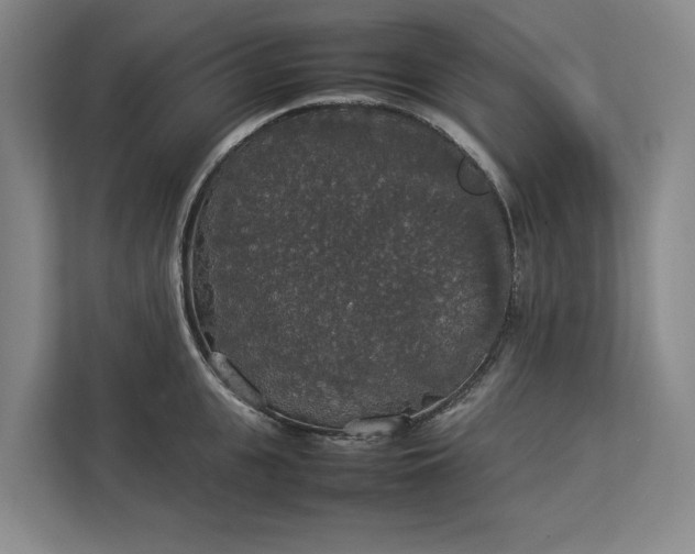 X0000112830951200909041500