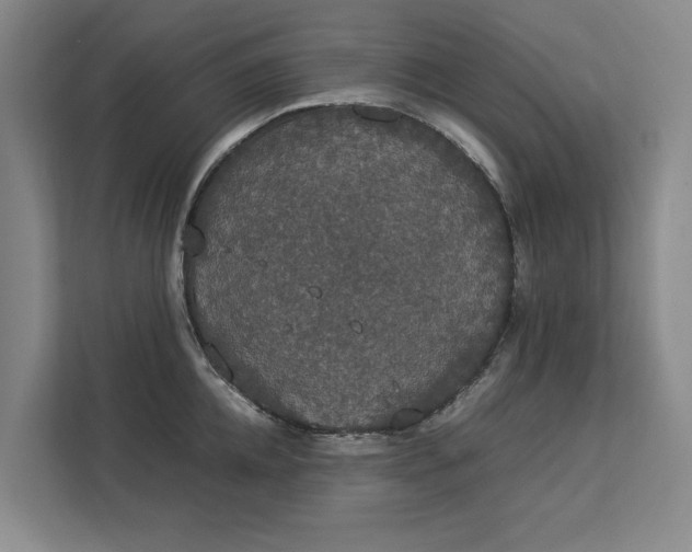 X0000112830952200909041500