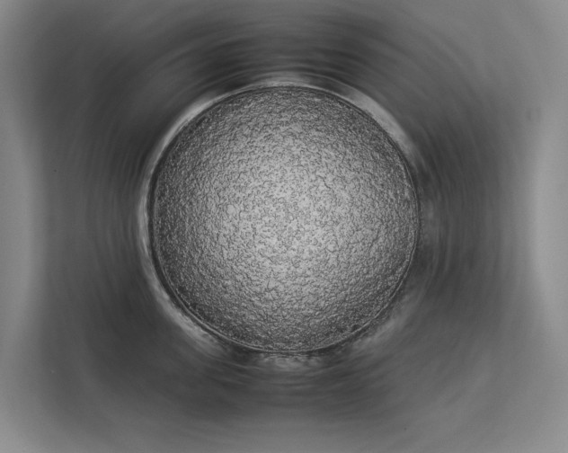 X0000112830955200909041500