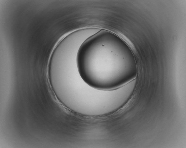 X0000112830956200909041500