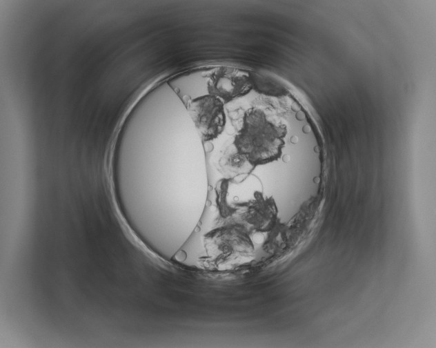 X0000112830957200909041500