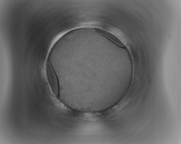 X0000112830960200909041500