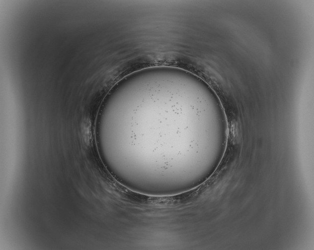 X0000112830963200909041459