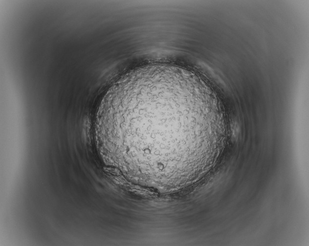 X0000112830964200909041459