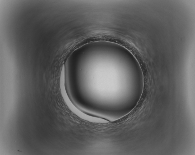 X0000112830965200909041459