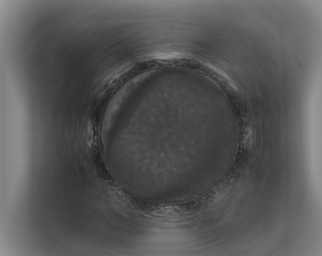 X0000112830966200909041459